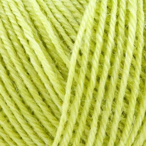 1014 - Limettengrün - Nettle Sock Yarn - Onion