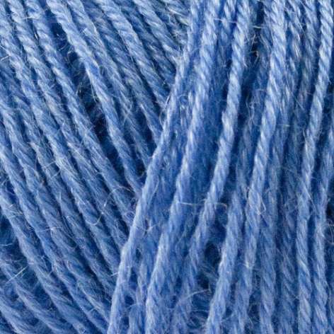 1020 - Himmelblau - Nettle Sock Yarn - Onion