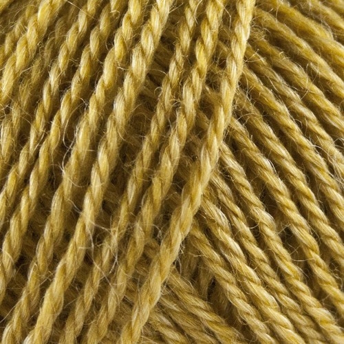 1109 - Curry - No.3 Organic Wool + Nettles - Onion