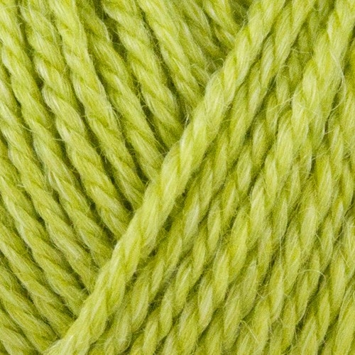 816 - Limettengrün - No.4 Organic Wool + Nettles - Onion