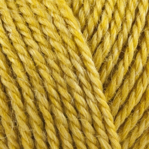 822 - Curry - No.4 Organic Wool + Nettles - Onion