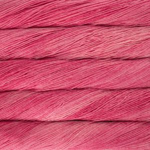 021 - Cactus Flower - Arroyo - Malabrigo