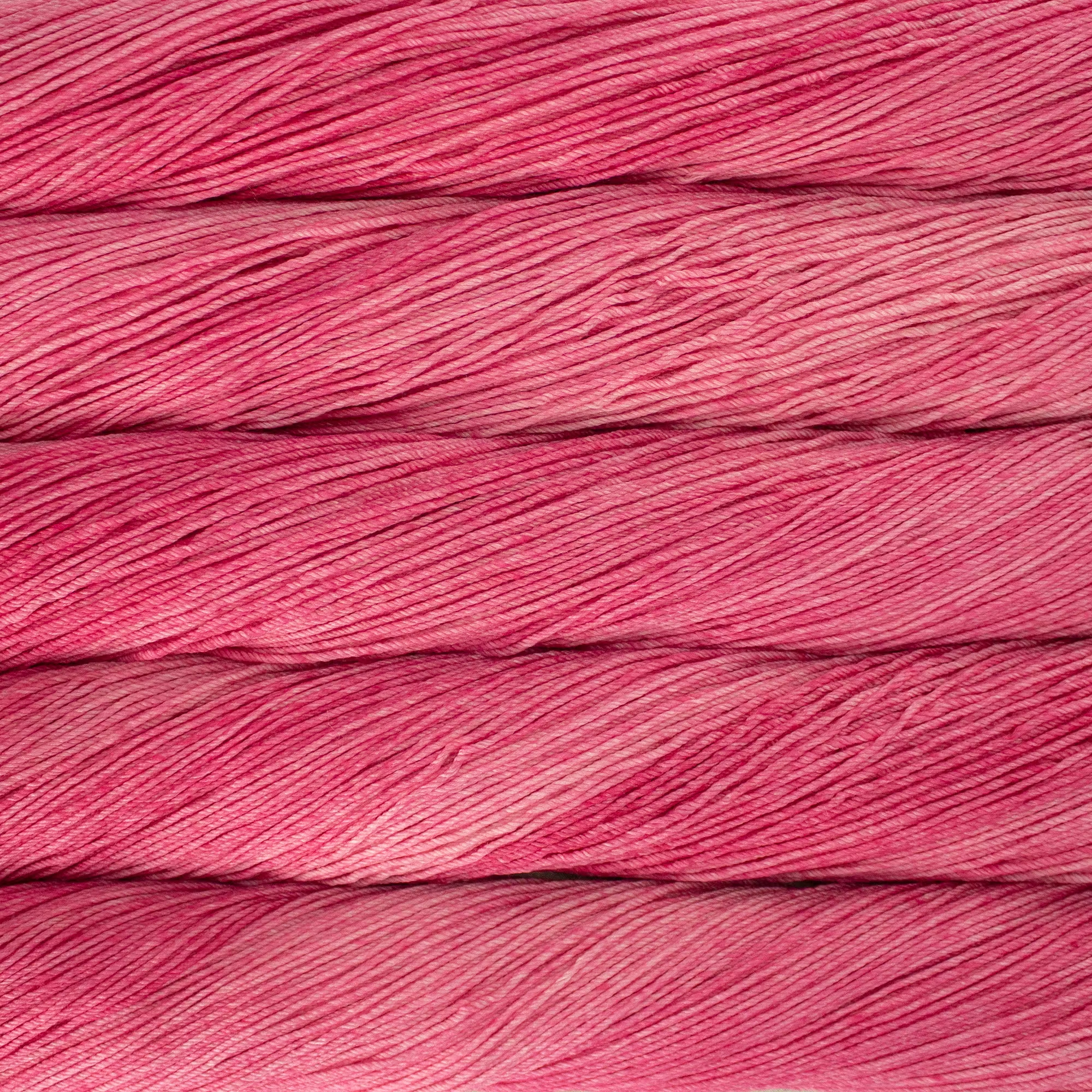 021 - Cactus Flower - Arroyo - Malabrigo