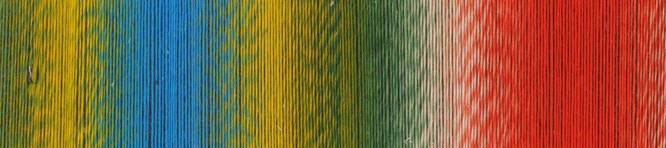 1701 - Papagei - Lace Ball 100 - Schoppel Wolle – Bild 2